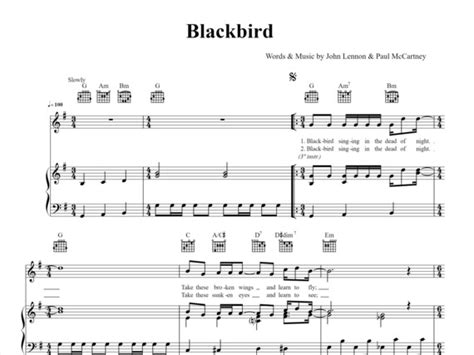 Blackbird Piano Sheet Music Blackbird Sheet Music The Etsy