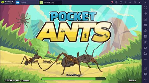 Playing Pocket Ants Ant Colony Simulation On Bluestacks Android