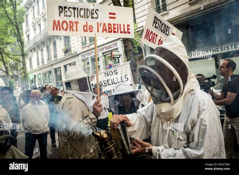 Les apiculteurs manifestent contre les pesticides à Lyon en France