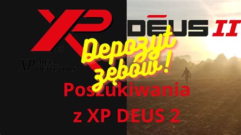 Ogromny depozyt zębów Poszukiwania z XP DEUS 2 YouTube