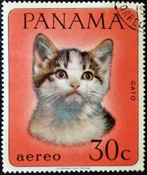 Panama Circa 1980 A Stamp Printed In Panama Shows A Cat Circa