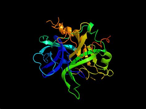 Thrombin Protein, Secondary Structure Photograph by Science Photo ...