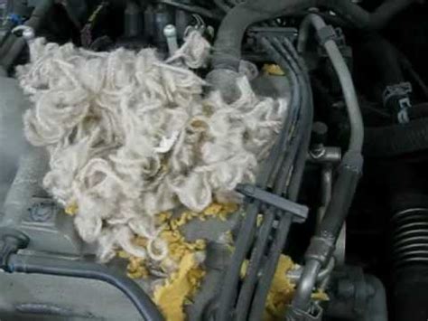 Chipmunk Nest In Car Engine