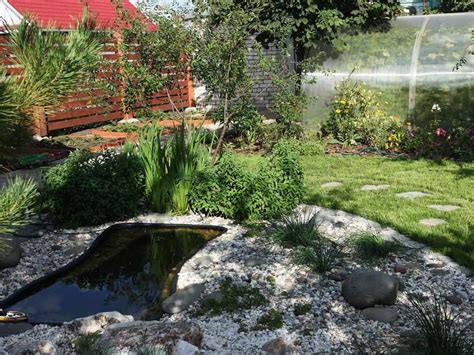 How To Build A Small Wildlife Pond Cheap And Easy Pond Informer