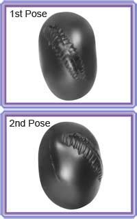 Ganesha Shaligram From Shaligram Shala Buy Best Quality Of Ganesha