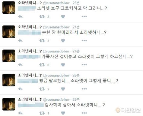 “소라넷 하니…” 트위터에 등장한 사이다 계정 응원 봇물 국민일보