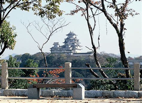 姫路城が最も美しく見える10箇所の一つ「景福寺公園」からみる景観が大変なことに、、、【今日の姫路城918日目・姫路珍百景】 姫路の種