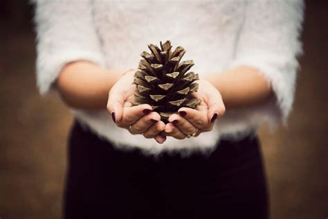 Premium Photo Midsection Of Woman Holding Pine Cone