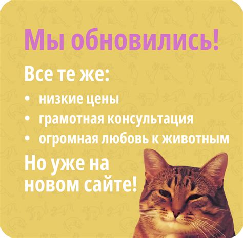 Главная страница - Lapki shop