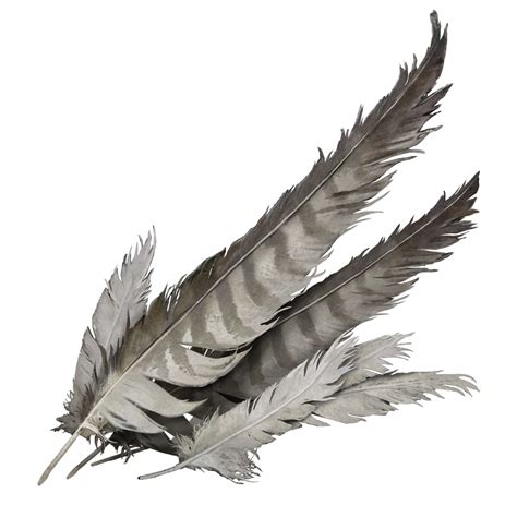 Stormhawk Feather - Elden Ring - Crafting Materials - Items | Gamer Guides®