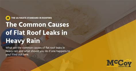 The Common Causes Of Flat Roof Leaks In Heavy Rain Mccoy Roofing