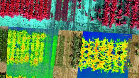 AI In The Fields Revolutionizing Agriculture With Smart Technology