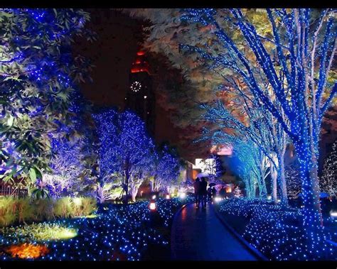 Amazing New Year Lights 2013 - The Wondrous Pics