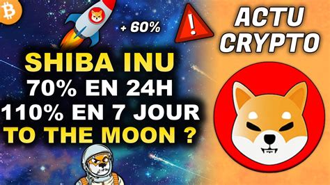 SHIBA INU TO THE MOON 100 SUR 24H LES BALEINES STOCK DE EN DU