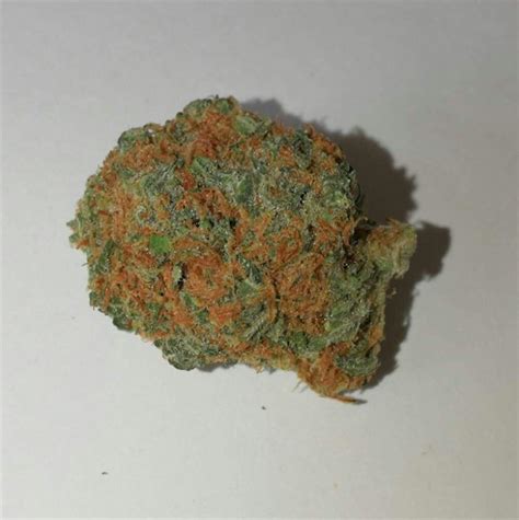 Orange Bud Weed Strain Information Leafly