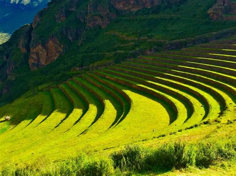 Terraces Smithsonian Photo Contest Smithsonian Magazine