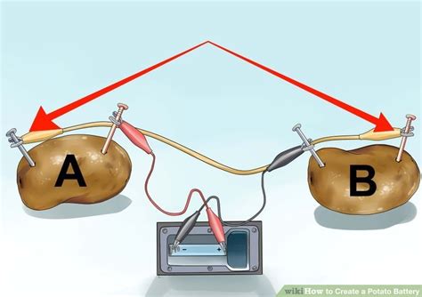 Circuit Diagrams With Potato Batteries How To Make A Potato