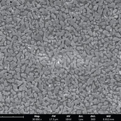 The Surface Sem Images Of Pbi Films Added Different Concentrations Of