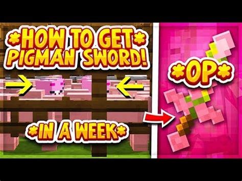 Hypixel Skyblock HOW TO GET PIGMAN SWORD IN UNDER 1 WEEK LEGIT NO