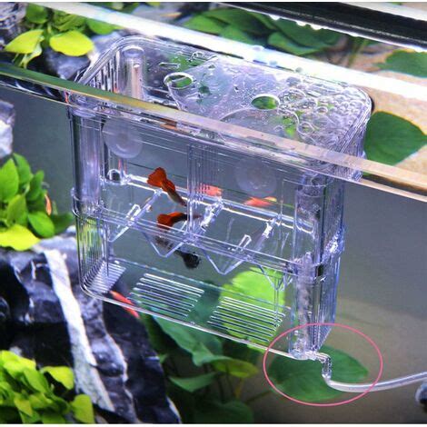 Fish Breeding Box Acrylic Floating Isolation Box Double Layer Breeding