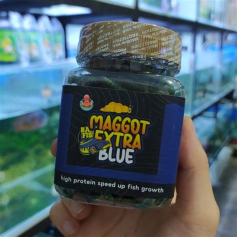 Jual MAGGOT EXTRA BLUE 30gram BANG FISH X FAJAR ARIEF PAKAN IKAN