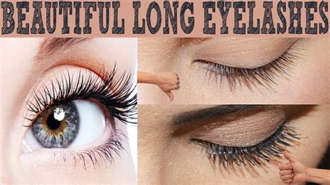 How To Get Beautiful Long Eyelashes Naturally Get Thicker Longer Eyela Longer Eyelashes