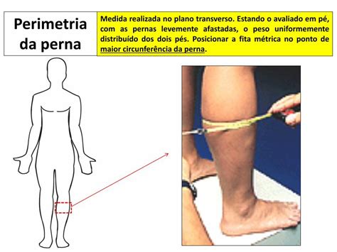 Pdf Aula Perimetria Dobras Cut Neas E Protocolos Perimetria Do