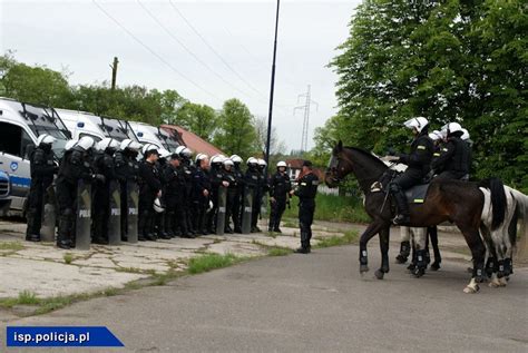 Atestacja policyjnych koni Aktualności Informacyjny Serwis Policyjny