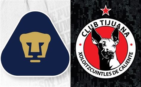 Pumas Vs Xolos Ver En Vivo Jornada 7 Del Guardianes 2020 La Verdad