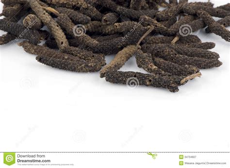 Long Pepper Or Pipli Or Dipli (Piper Longum) Isolated On White B Stock ...