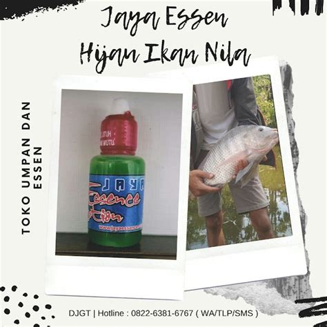 Oplosan Essen Ikan Nila Liar Di Danau Jual Aquatic Essen