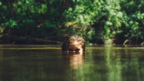 Free Images Tree Water Nature Forest Swamp Wilderness Person