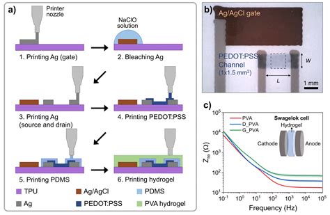 All Printed And Stretchable Organic Electrochemical Transistors Using A