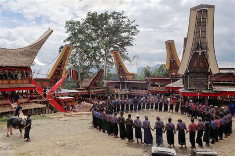 Foto Pemenang Lomba Foto Dan Vlog Magical Toraja Torajachannel