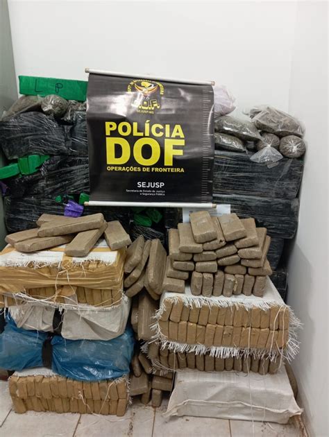 Dof Apreende Quilos De Droga Em Meio A Mata Em Ponta Por