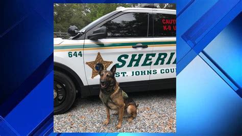 St. Johns County Sheriff’s Office K-9 retires after 10 years