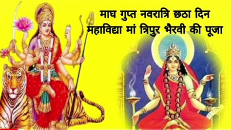 माघ गुप्त नवरात्रि के छठवें दिन महाविद्या मां त्रिपुर भैरवी की कथा Gupt Navratri Ki Katha Day