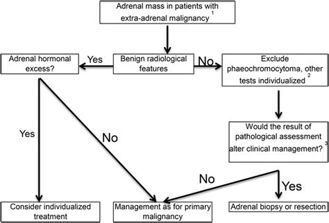 Evaluation Of Adrenal Mass In Patients With Known Extra Adrenal Download Scientific Diagram