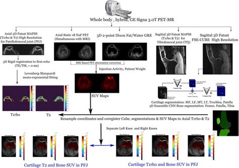 The Relationships Between Patellofemoral Bone Remodeling Cartilage