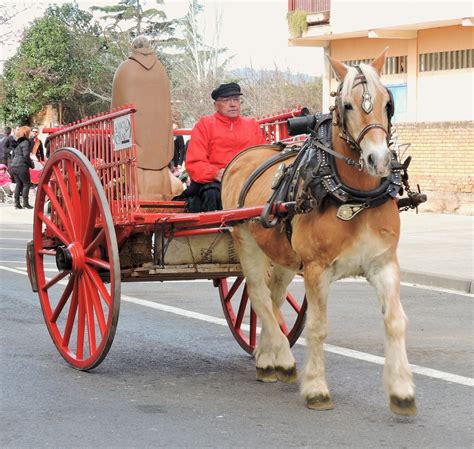 Blog Del M Rius Domingo Ca La Gallineta Els Tres Tombs De Reus