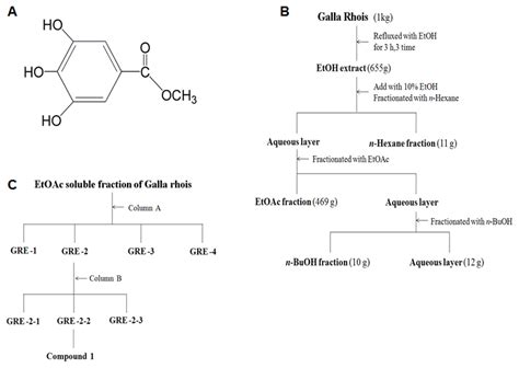 Isolation Of Methyl Gallate From Galla Rhois A Chemical Structure Of Download Scientific