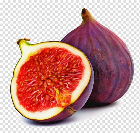 Watercolor Clipart With Figs Fig Purple Fruits Clip Art