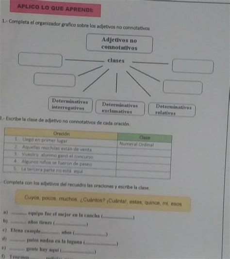 completa el organizador gráfico sobre los adjetivos no connotativos