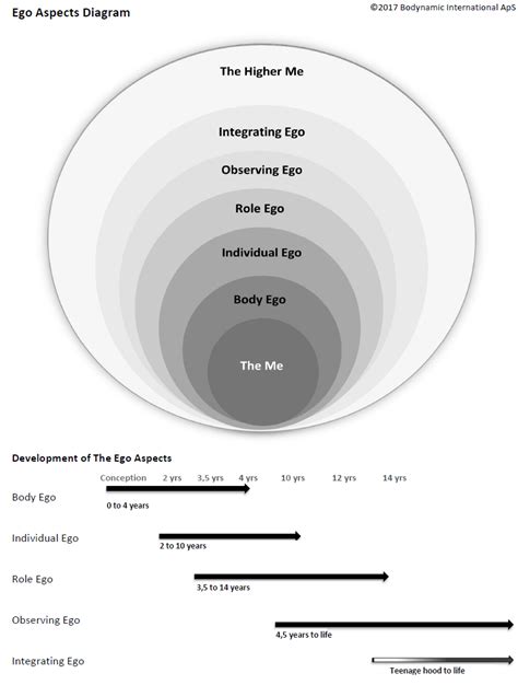 Ego Aspects Bodynamic International