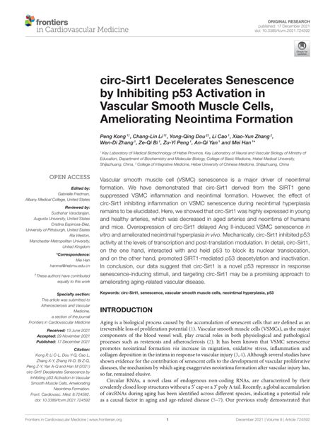 Pdf Circ Sirt Decelerates Senescence By Inhibiting P Activation In