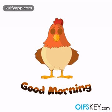 Meme gif gif meme goodmorning chicken discover share gifs – Artofit