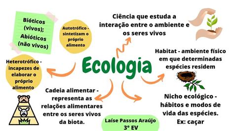 Mapa mental sobre ecologia Mapas mentais Ecologia Nicho ecológico