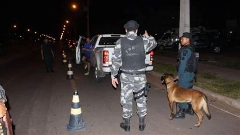 Canil Da Pm Faz Operação Para Treinamento De Cães Farejadores Folha Bv