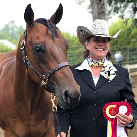 Mr Chance Winning Reserve Grand In A Big Class Of Halter Geldings At