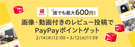 商品のレビュー画像・動画添付でpaypayポイント獲得キャンペーン Yahoo ズバトク